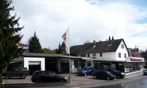 Autohaus Lauer GmbH & Co. KG